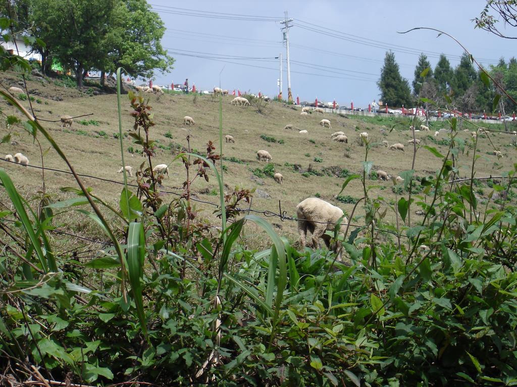 Winlu Vacation Farm Villa Zsenaj Kültér fotó