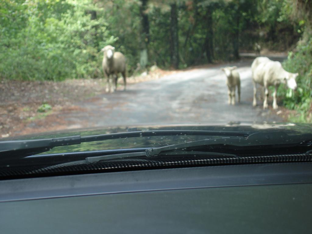 Winlu Vacation Farm Villa Zsenaj Kültér fotó